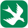 rain-bird-logo
