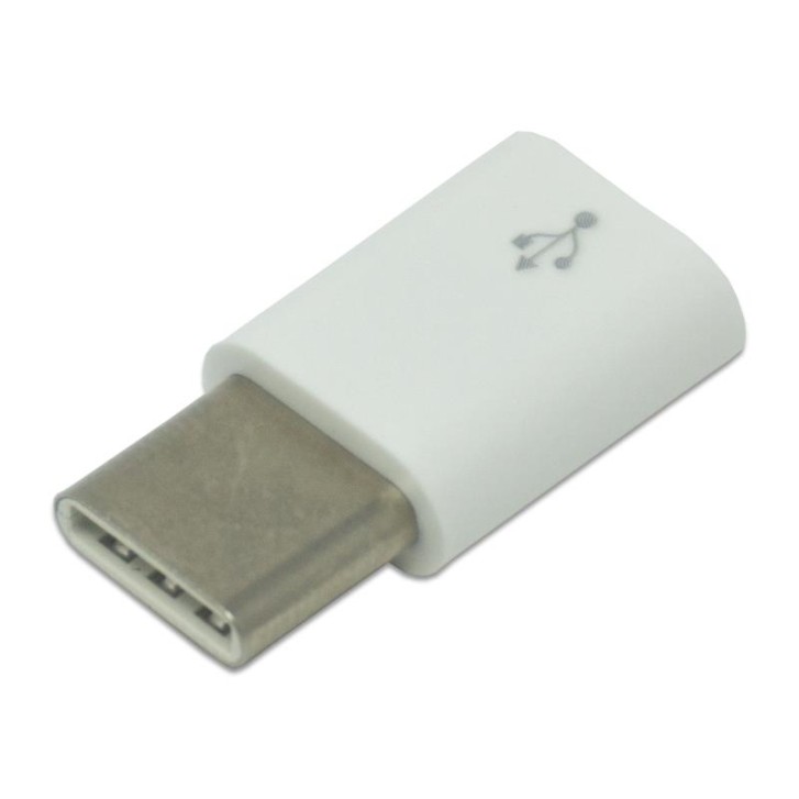 RPi4 MicroUSB B zu USB C Adapter Weiß