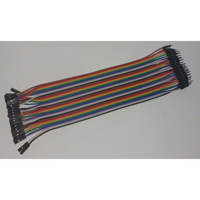 40Pin Jumper/Ribbon Kabel 200mm M-F