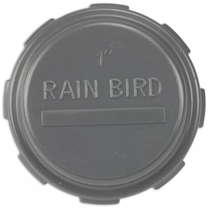 Rain Bird Kappe PVC Innengewinde 10bar Grau